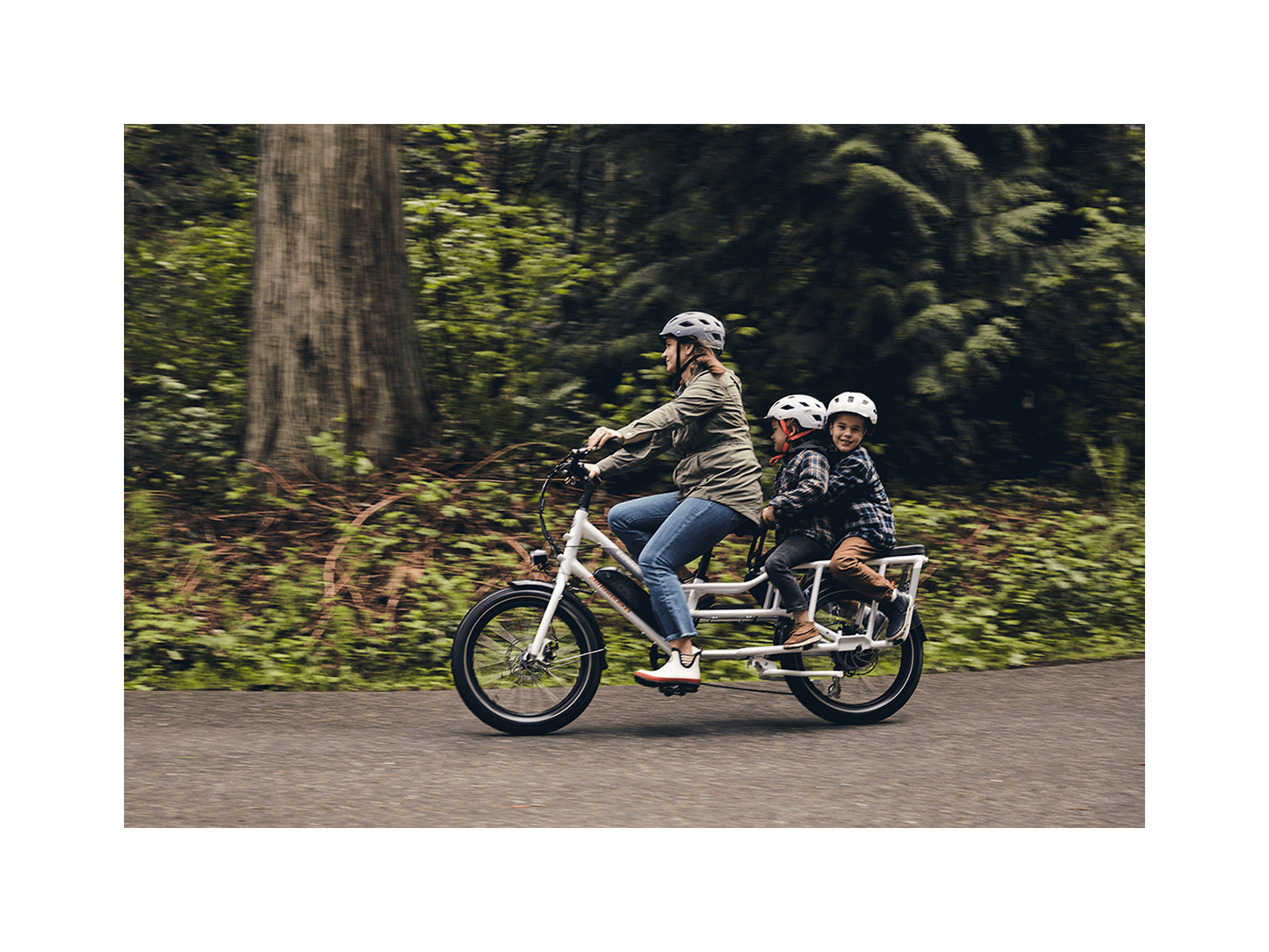 RadWagon™ 4 Electric Cargo Bike