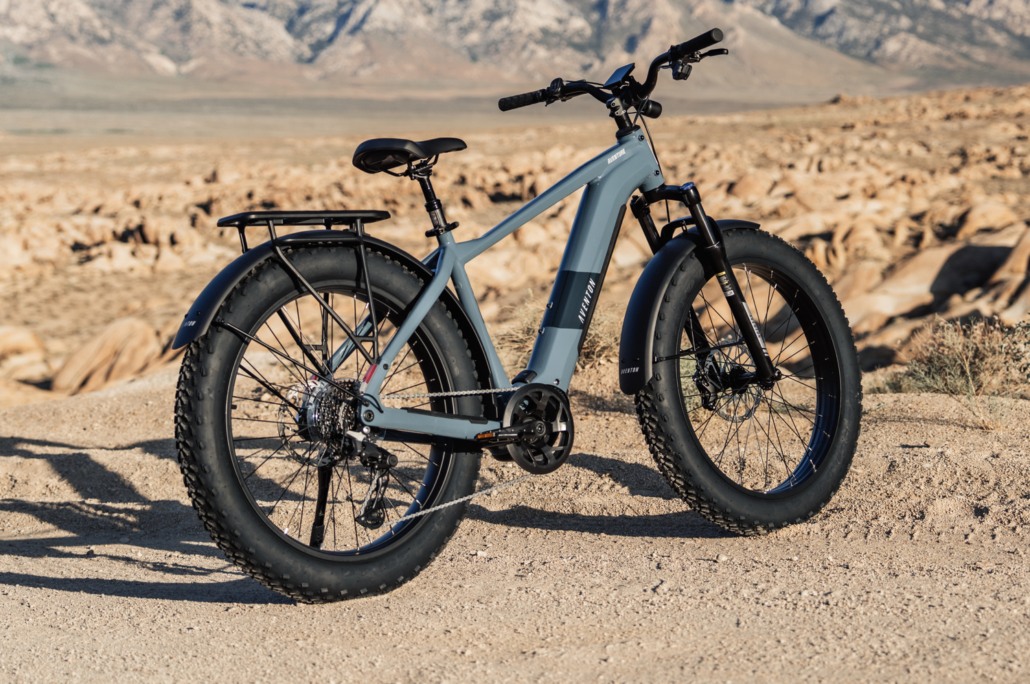Electric Bikes