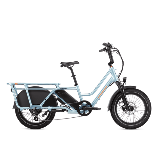RadWagon™ 5 Electric Cargo Bike