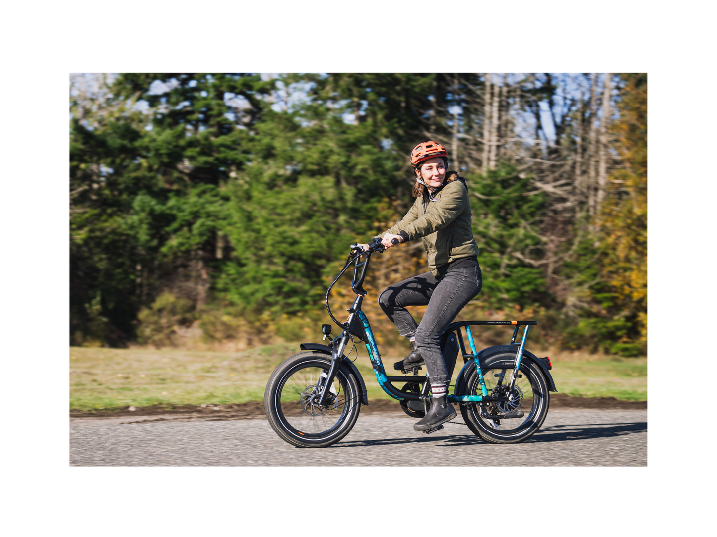 RadRunner™ Plus Electric Cargo Utility Bike