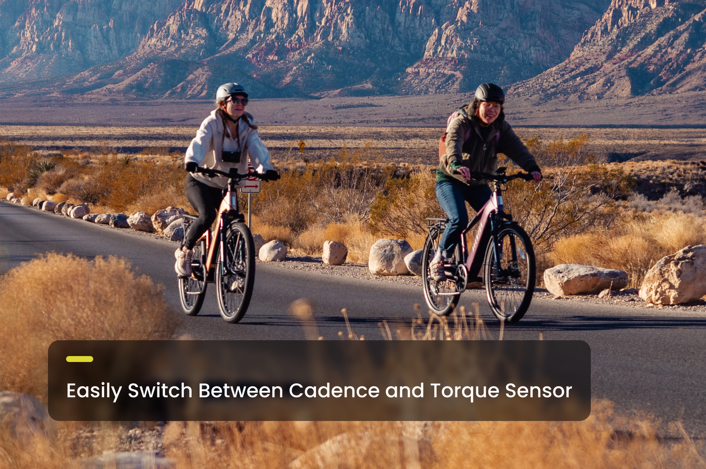 Level 3 Step-Through Ebike