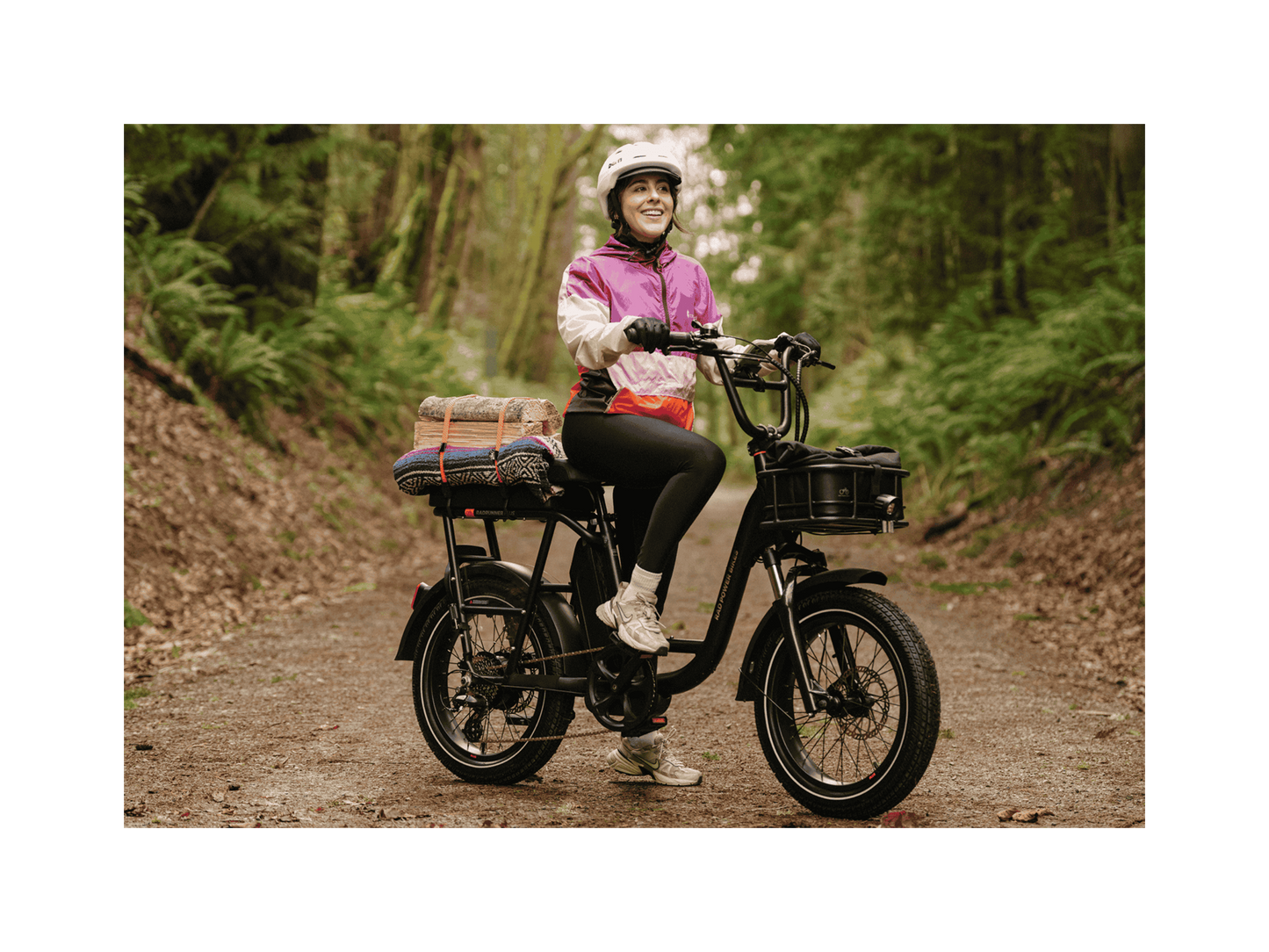 RadRunner™ Plus Electric Cargo Utility Bike