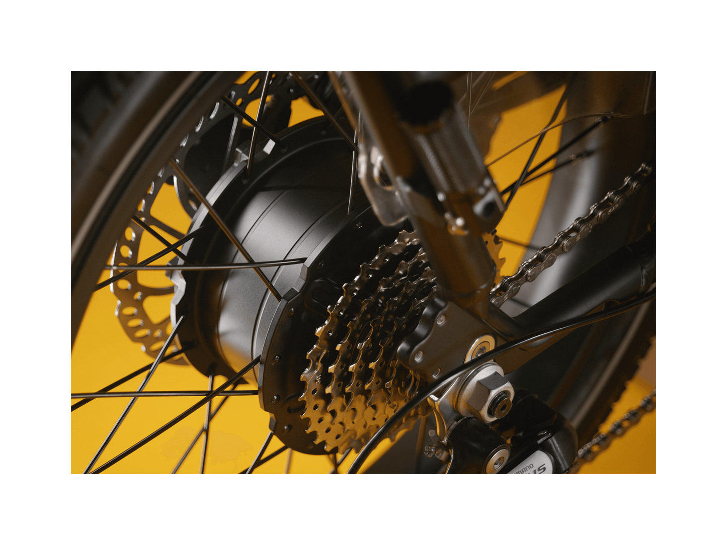 RadRunner™ Max Electric Cargo Utility Bike