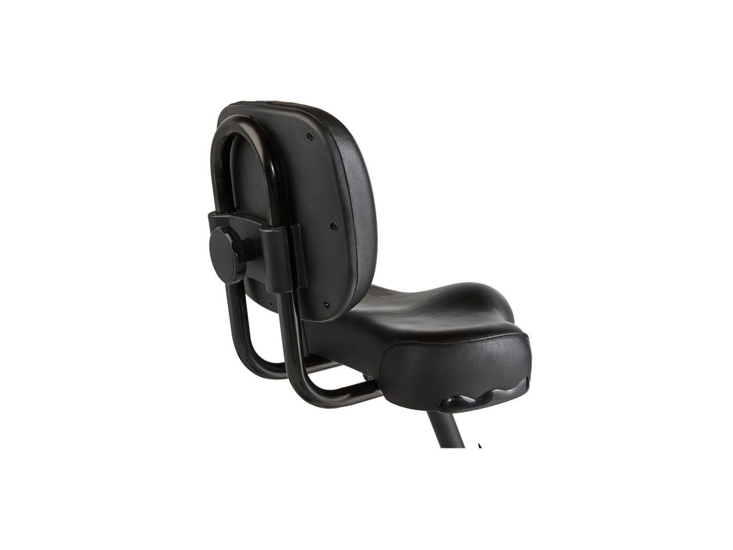 RadTrike™ Electric Tricycle